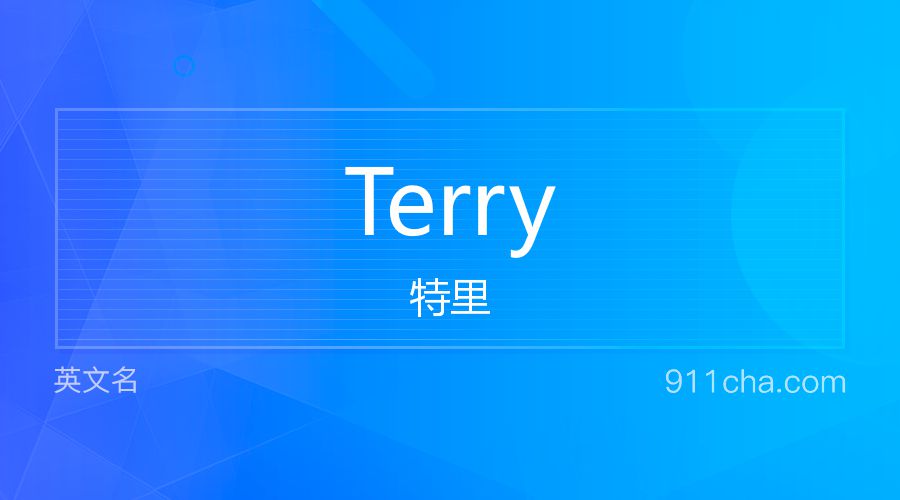 Terry 特里