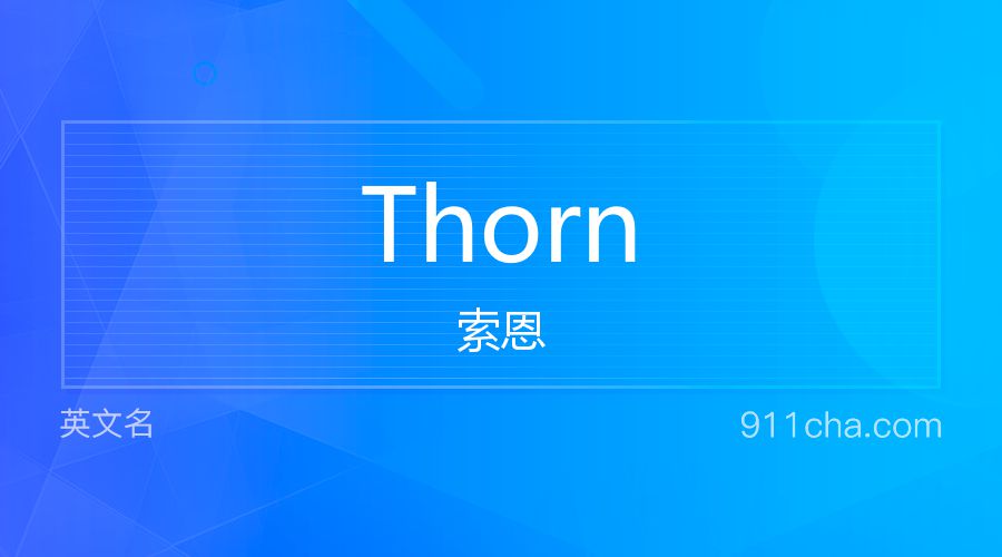 Thorn 索恩