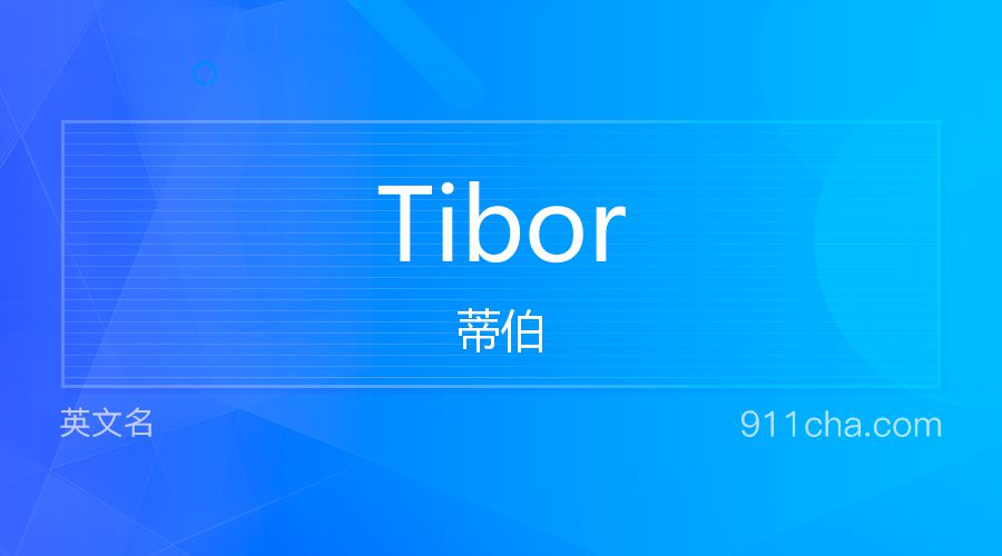 Tibor 蒂伯