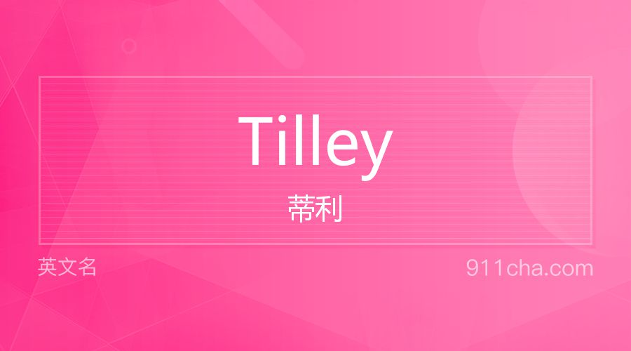 Tilley 蒂利