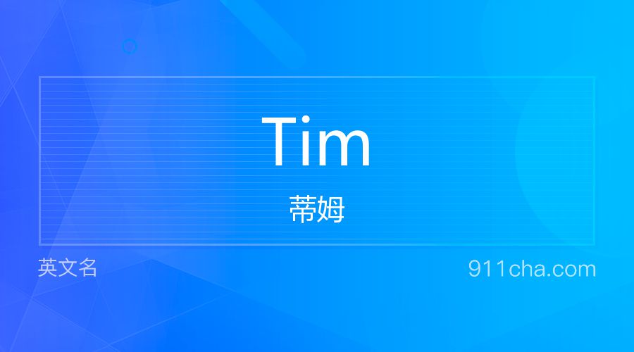 Tim 蒂姆