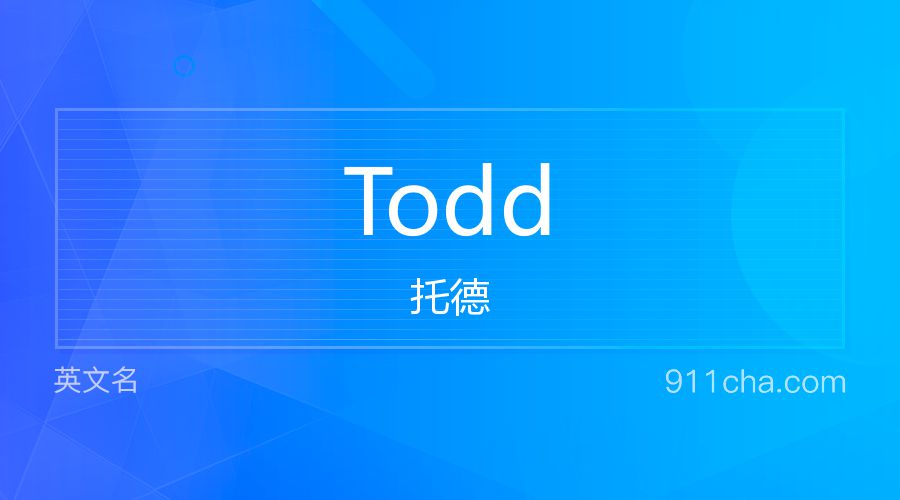 Todd 托德