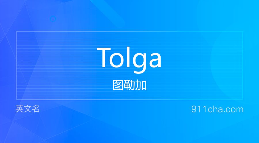 Tolga 图勒加