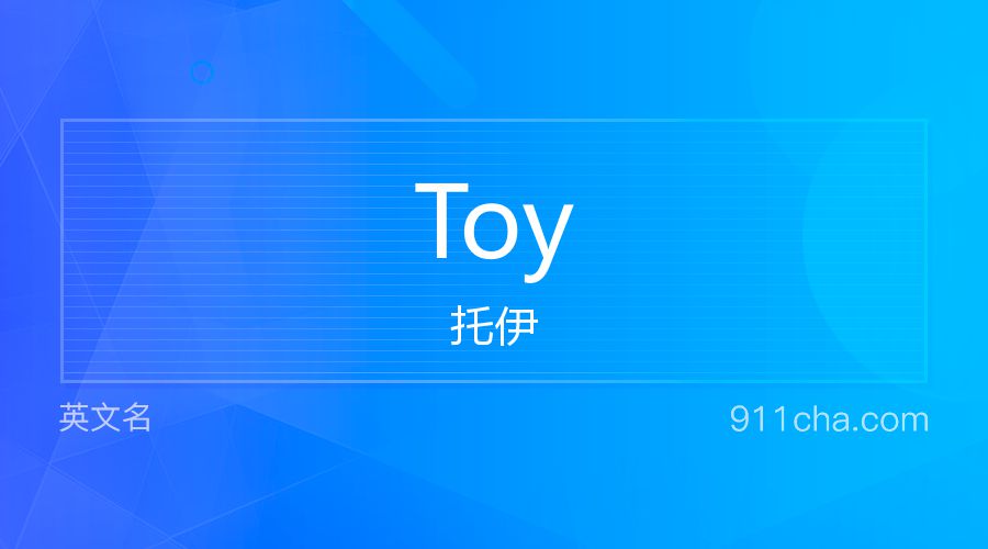 Toy 托伊