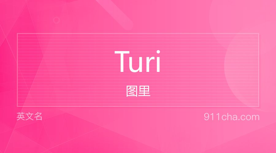 Turi 图里