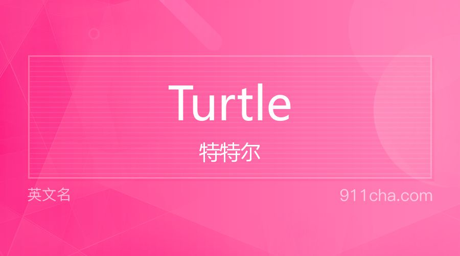 Turtle 特特尔