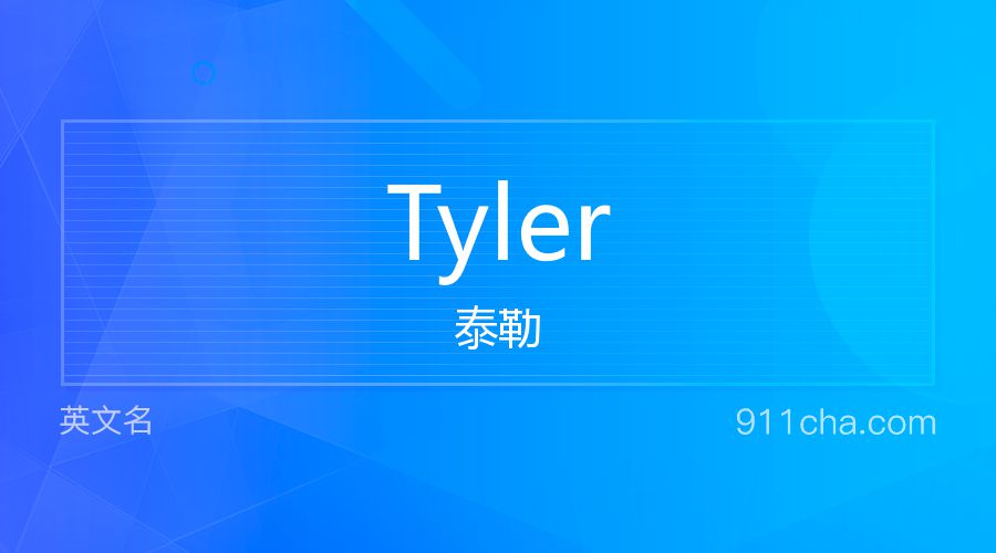 Tyler 泰勒