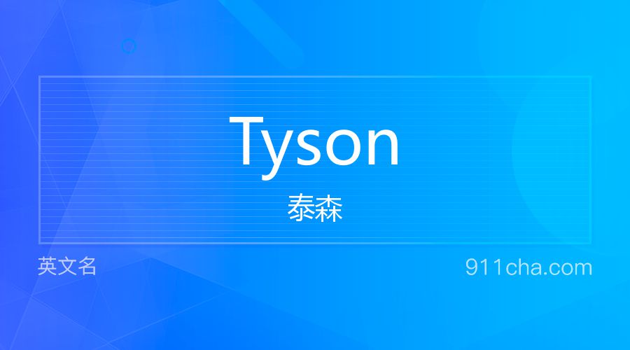 Tyson 泰森