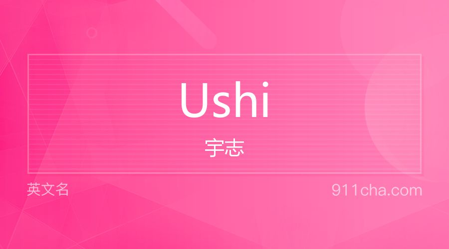 Ushi 宇志