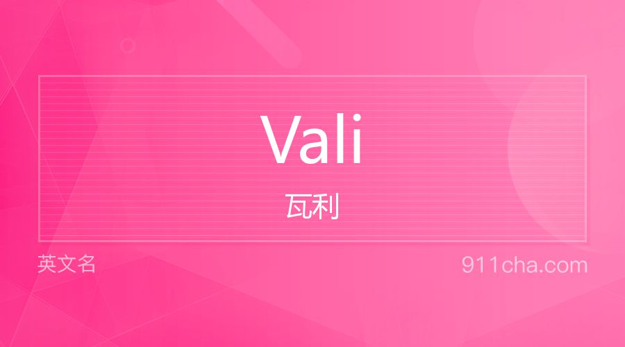 Vali 瓦利