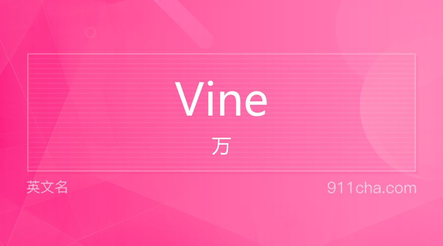 Vine 万