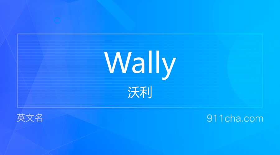 Wally 沃利