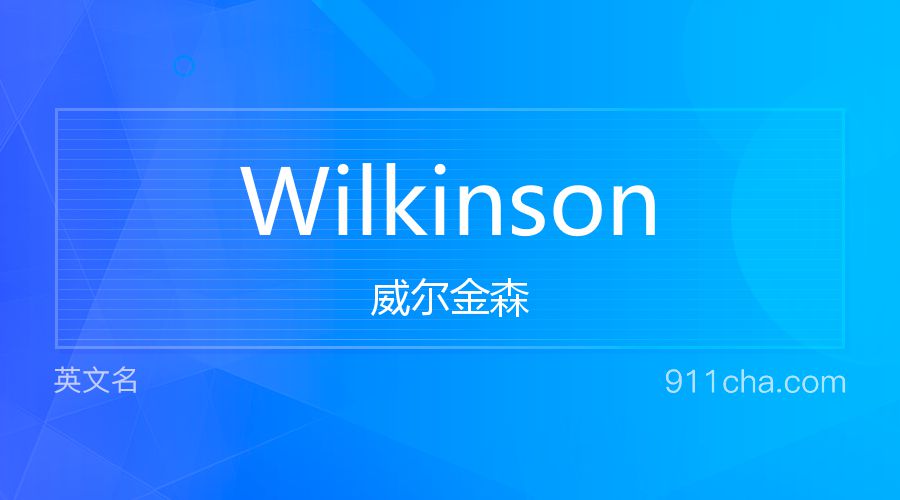 Wilkinson 威尔金森