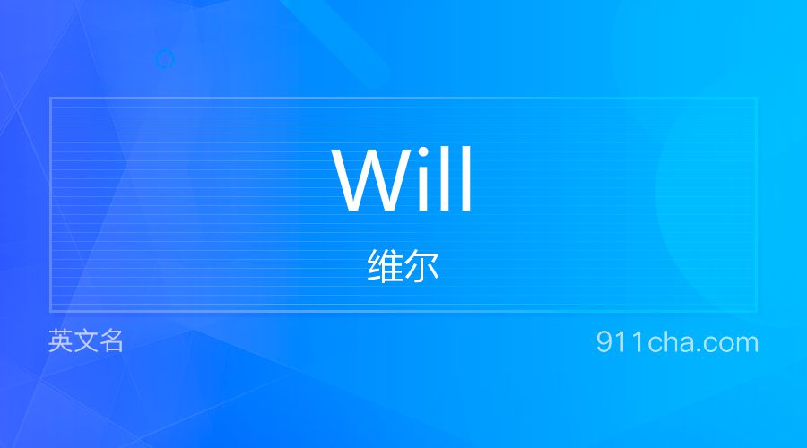 Will 维尔