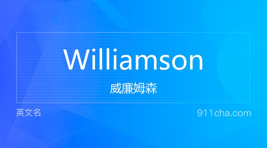 Williamson 威廉姆森