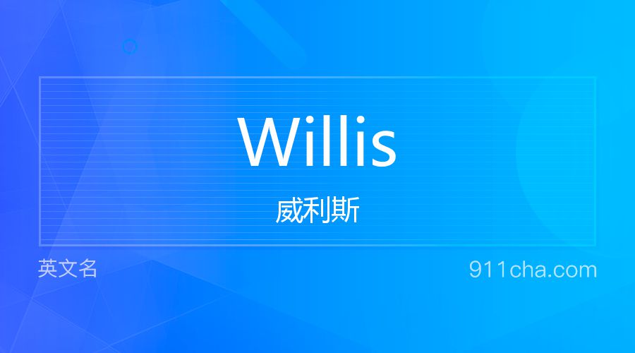 Willis 威利斯