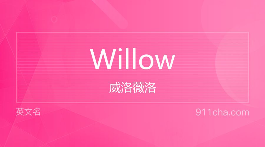 Willow 威洛薇洛