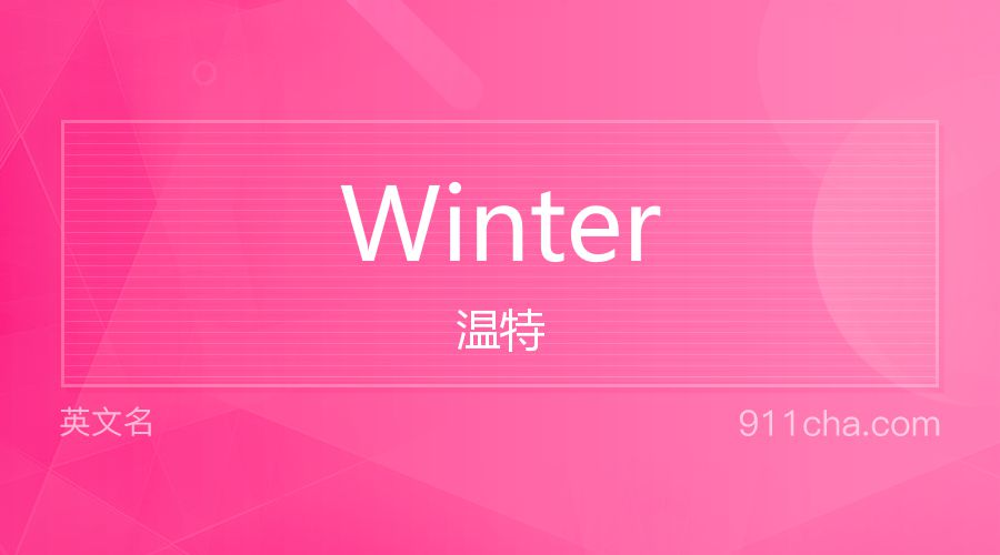 Winter 温特