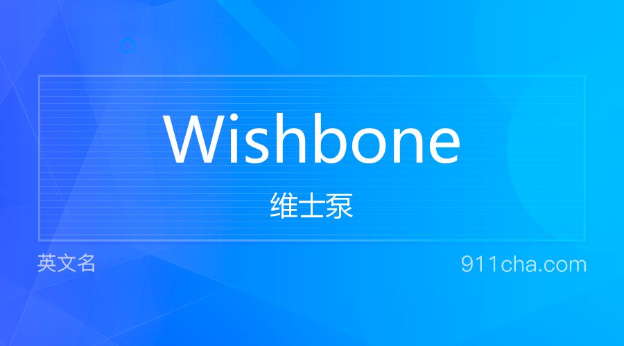 Wishbone 维士泵