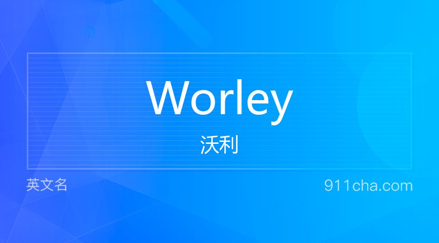 Worley 沃利