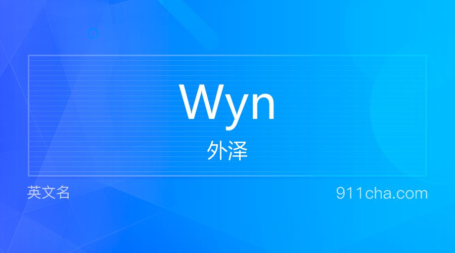 Wyn 外泽