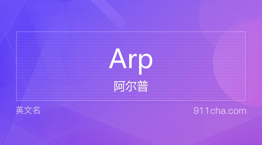 Arp 阿尔普