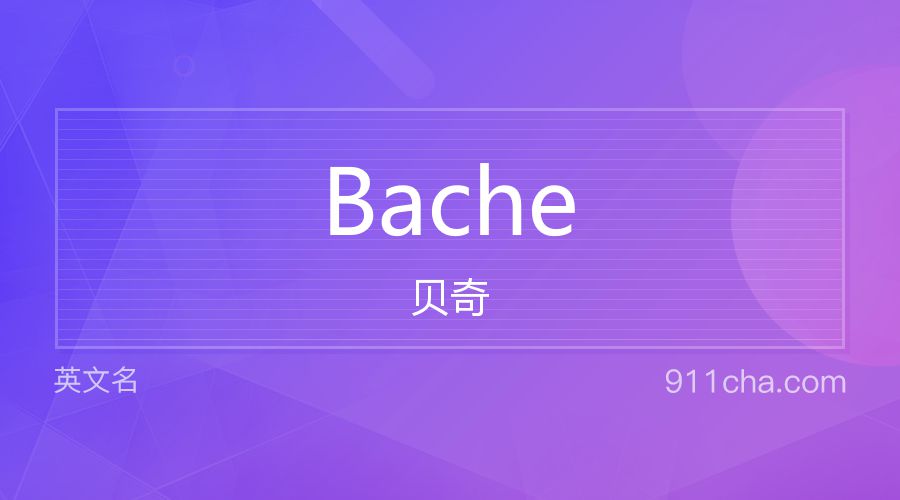 Bache 贝奇