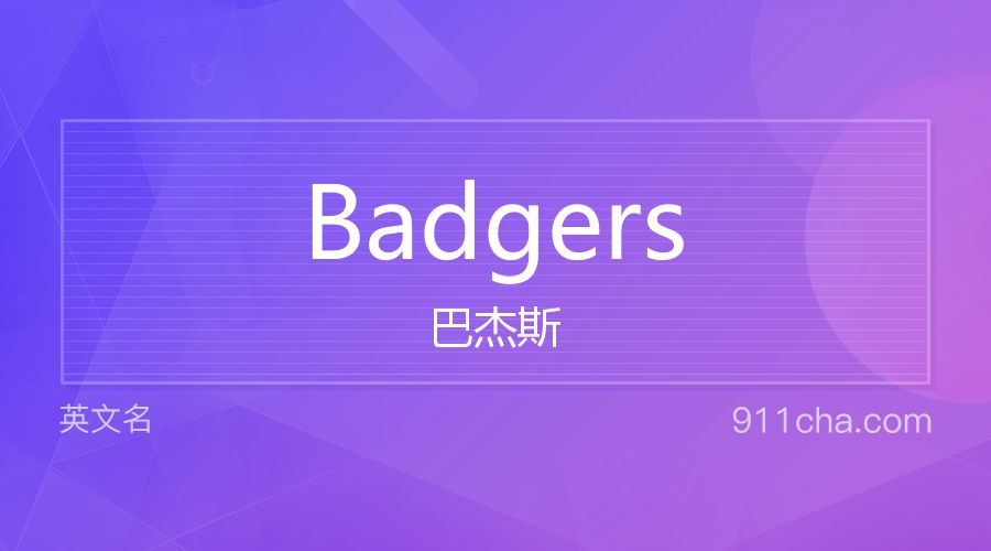 Badgers 巴杰斯