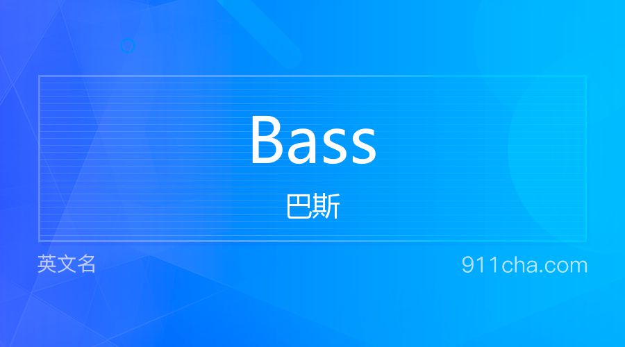 Bass 巴斯