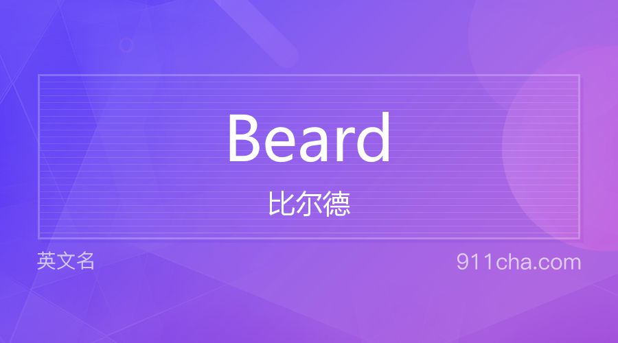 Beard 比尔德