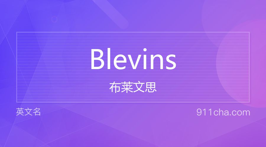 Blevins 布莱文思