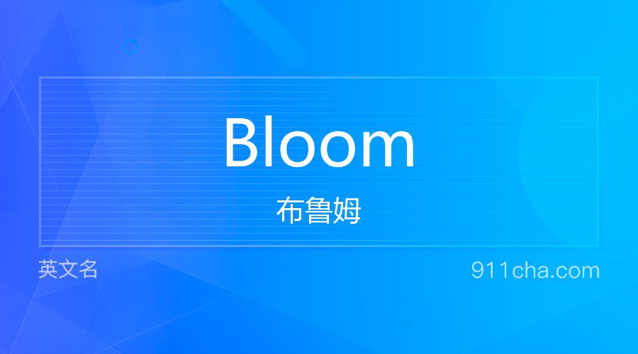 Bloom 布鲁姆