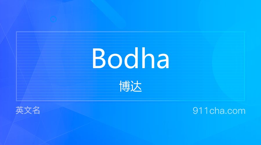 Bodha 博达