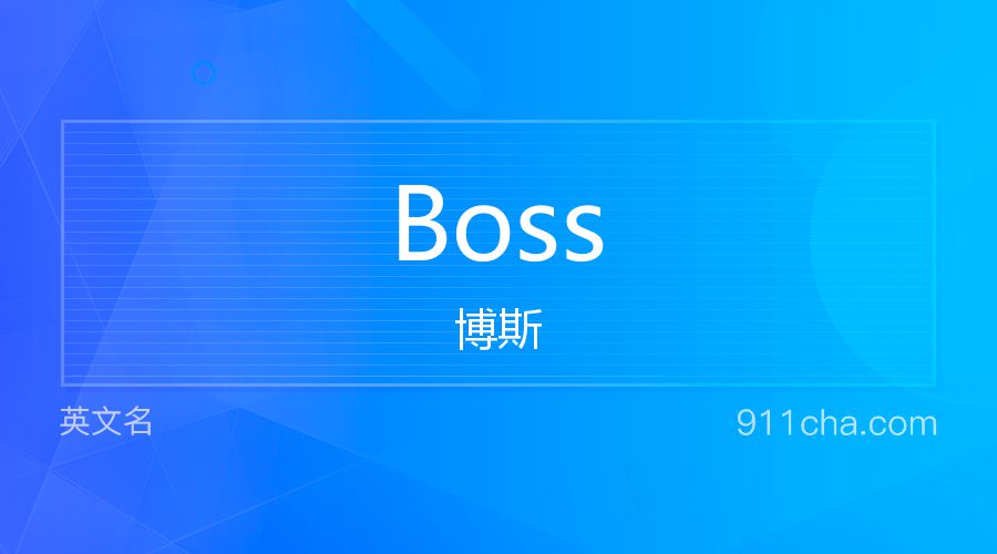 Boss 博斯