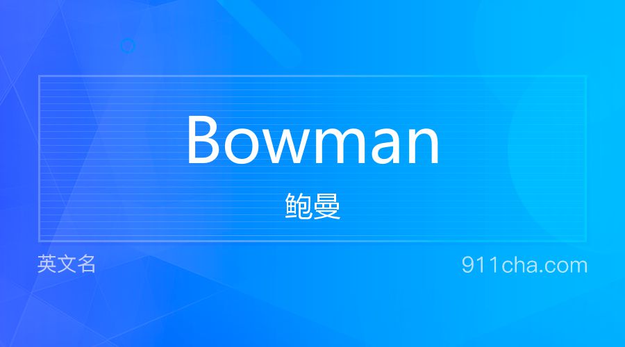 Bowman 鲍曼