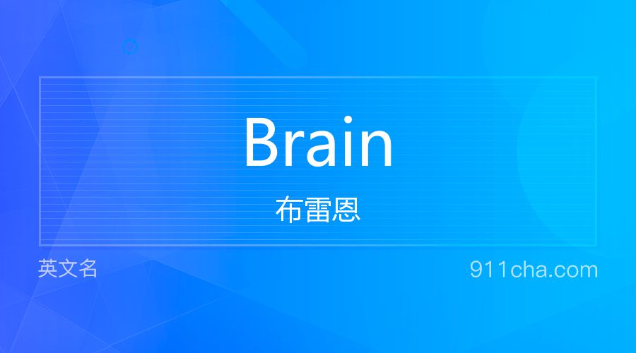 Brain 布雷恩