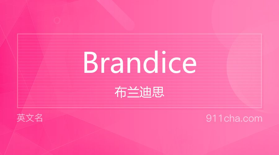 Brandice 布兰迪思