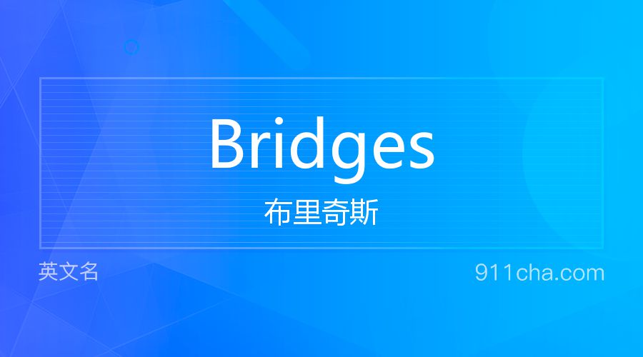 Bridges 布里奇斯