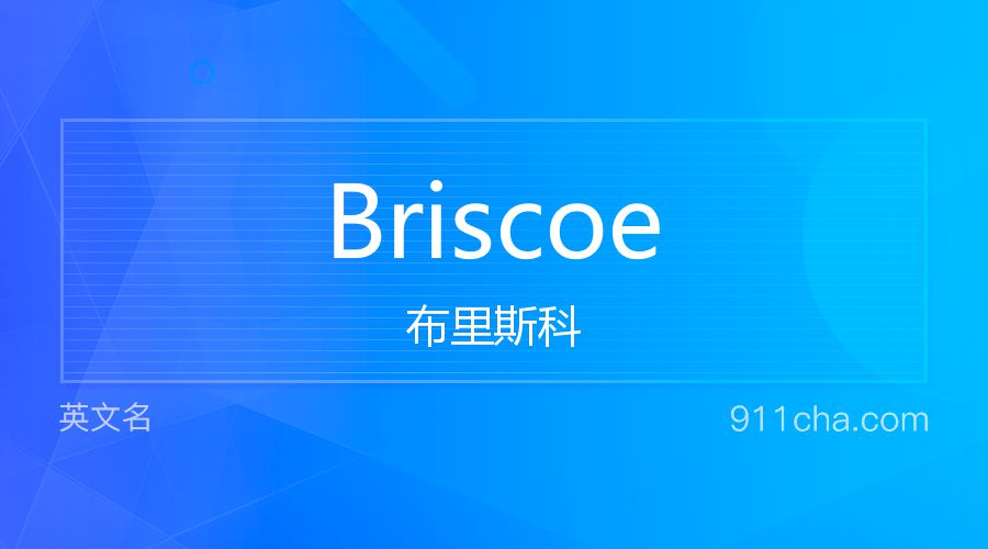 Briscoe 布里斯科