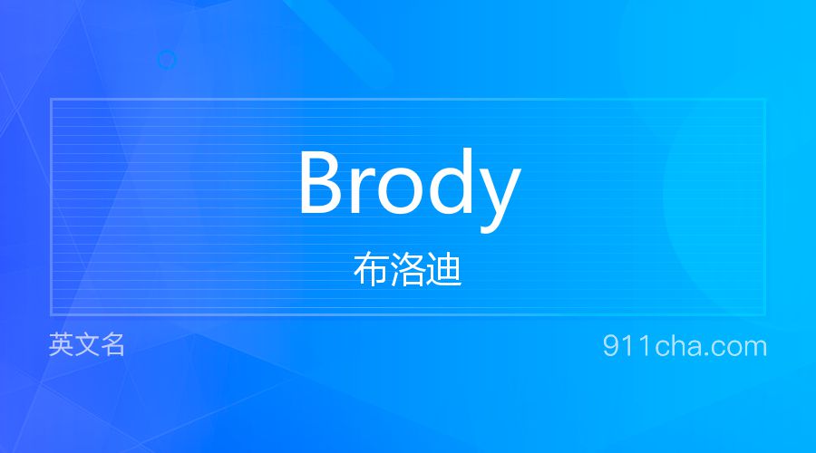 Brody 布洛迪