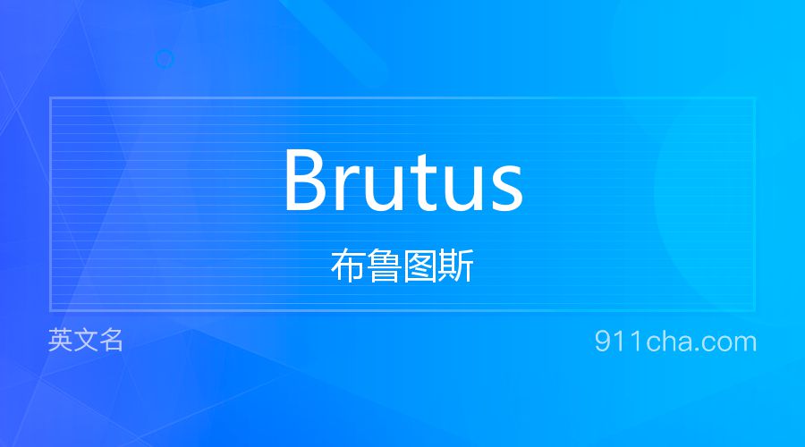 Brutus 布鲁图斯