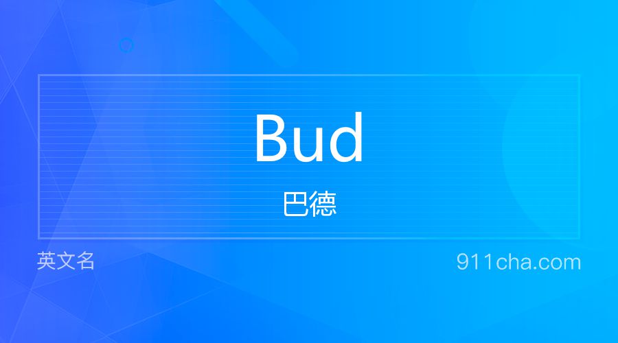 Bud 巴德