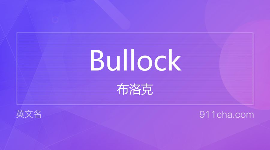 Bullock 布洛克