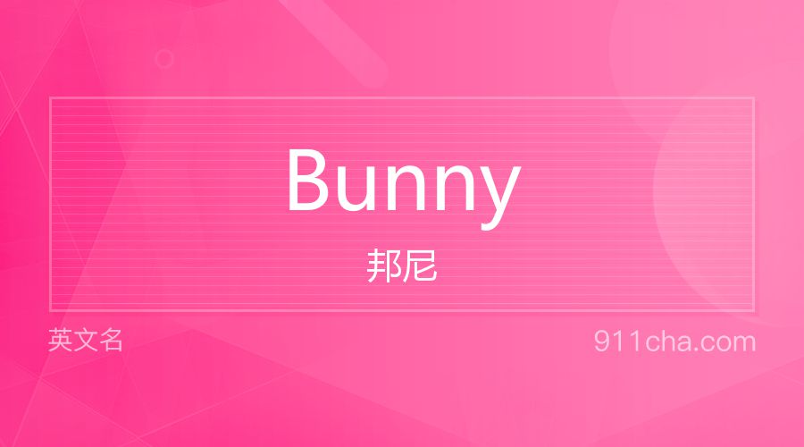 Bunny 邦尼