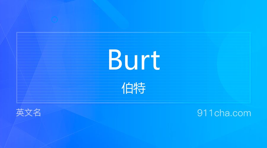 Burt 伯特