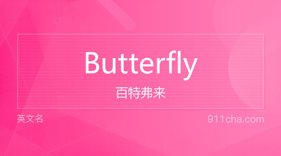 Butterfly 百特弗来