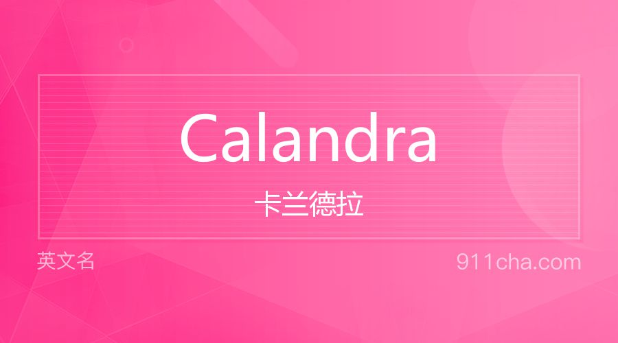 Calandra 卡兰德拉