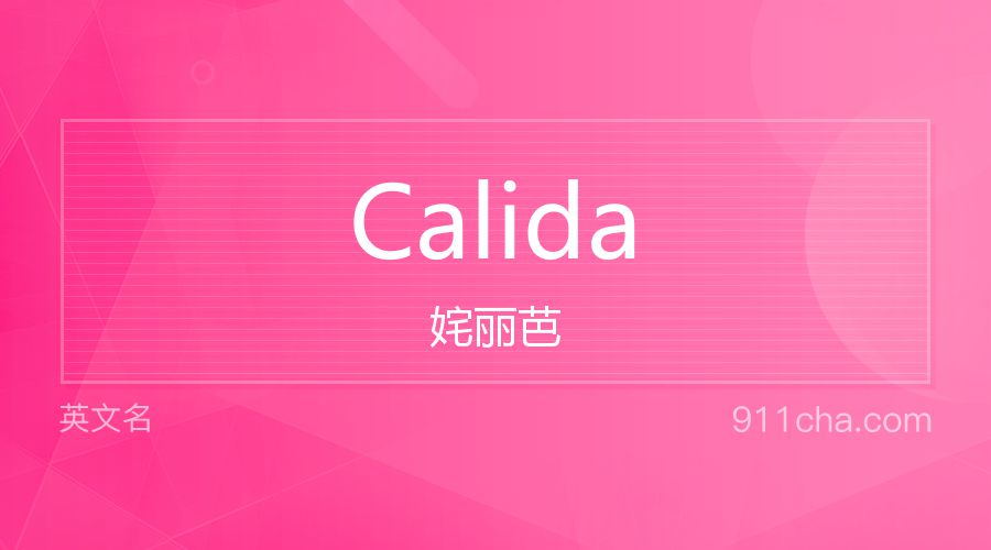 Calida 姹丽芭