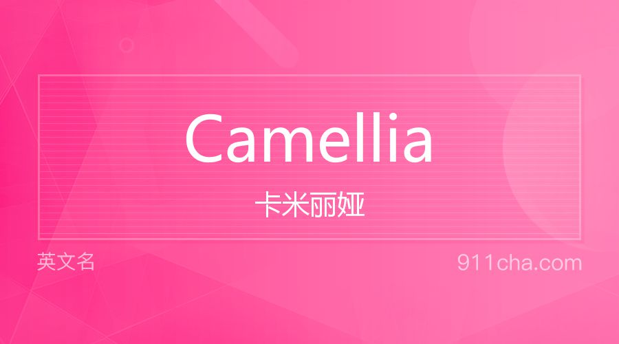 Camellia 卡米丽娅