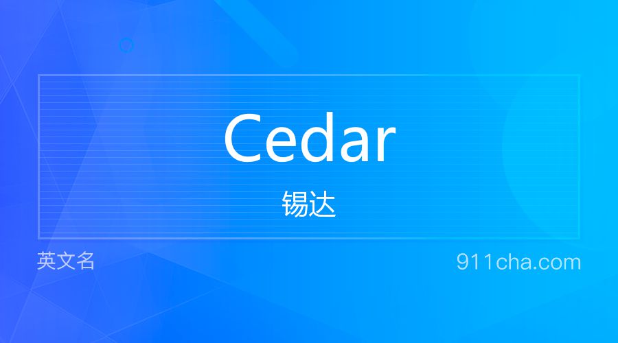 Cedar 锡达